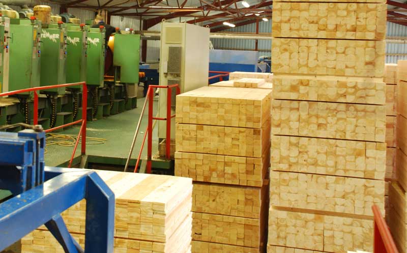 Sawmill with Stenner band saw